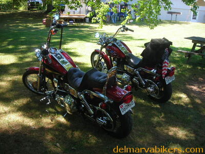 tn06093.JPG