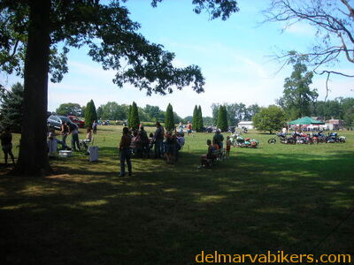 tn06390.JPG