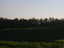 tn06116.JPG