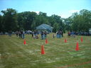 tn06270.JPG