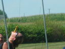 tn06331.JPG