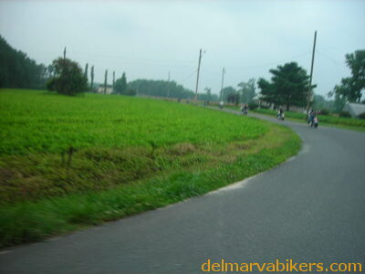 bc06055.JPG
