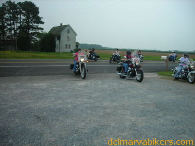 bc06111.JPG
