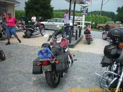 bc06123.JPG
