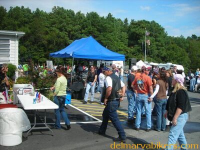wv06111.JPG