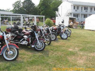 IMG_3132.JPG