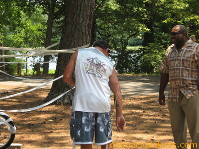 sawed0252.jpg