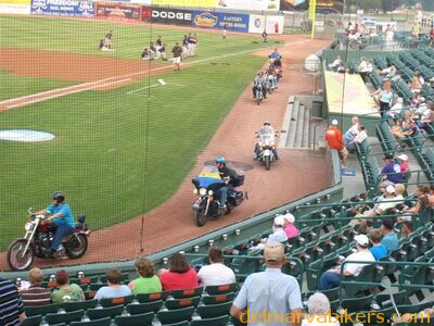 sbirds044.jpg