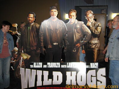 wildh1.jpg