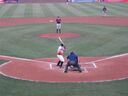 sbirds053.jpg