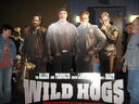 wildh1.jpg