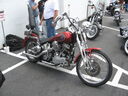 vf0145.jpg