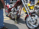 vf0255.jpg