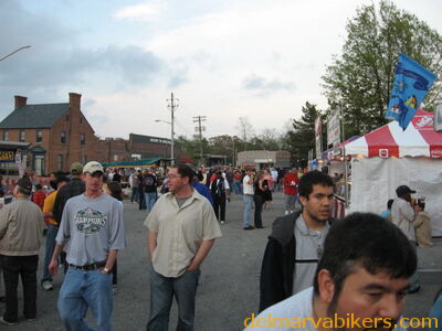 salfes0008.jpg