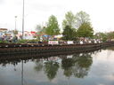 salfes0002.jpg
