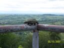 spankytrip_033.jpg