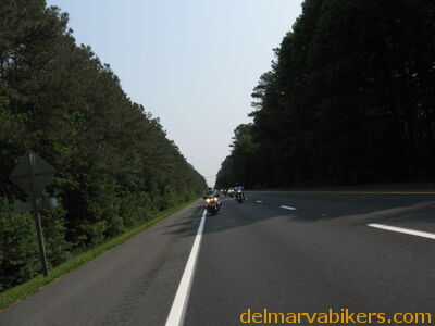 IMG_0877.JPG