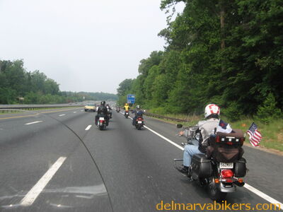 IMG_1121.JPG