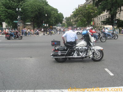 IMG_1286.JPG
