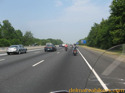IMG_1317.JPG