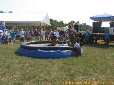 wswfed070235.jpg