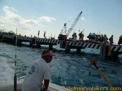ECBC2007_116.jpg