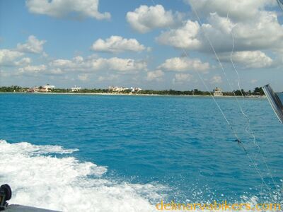 ECBC2007_119.jpg