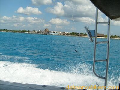 ECBC2007_120.jpg