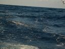 ECBC2007_138.jpg