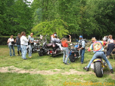 djswed0028.jpg