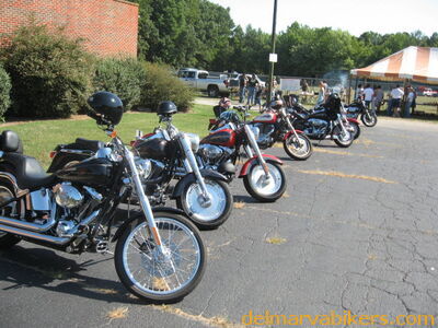 em_0085.jpg