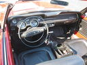 em_0111.jpg