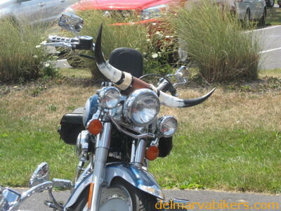 getb0079.jpg