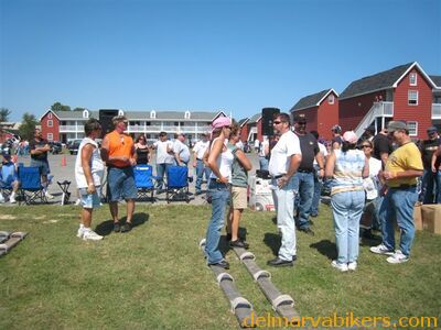 hotb0061.jpg