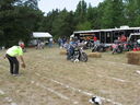 bvl076.JPG