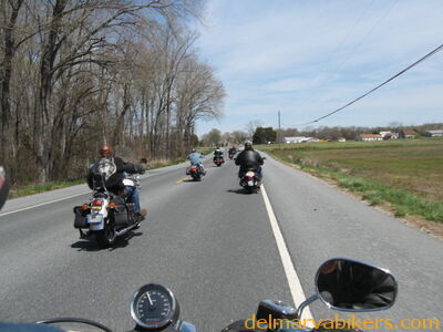 mys0054.jpg