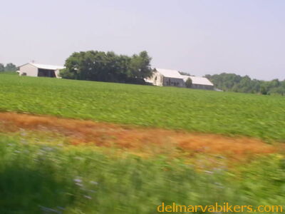 S4023525.JPG