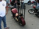 IMGA0168.JPG