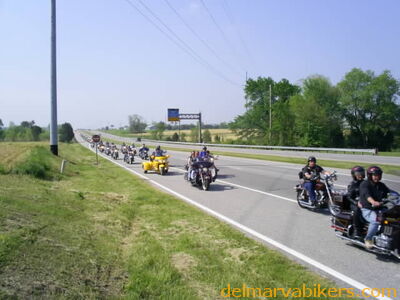 botb026.jpg