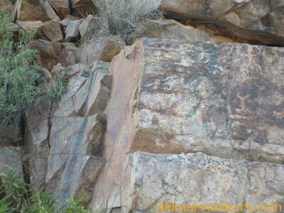 S6300148.JPG