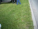 DSCN1305.JPG