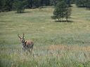 IMG_0773.JPG