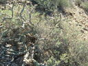 S6300117.JPG