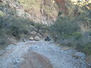S6300154.JPG