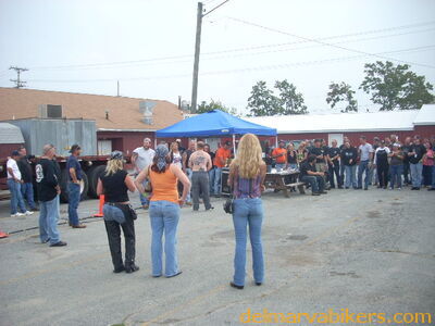 bbobs0110.JPG