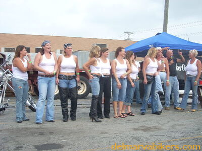 bbobs0173.JPG