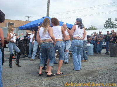 bbobs0187.JPG