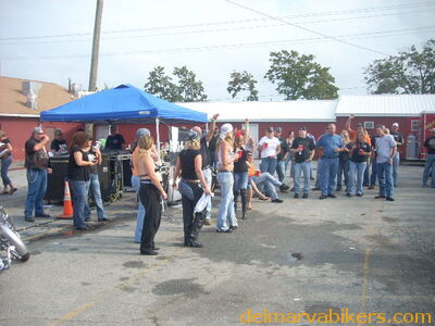 bbobs0249.JPG