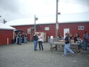 bbobs0055.JPG