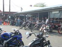 bbobs0280.JPG